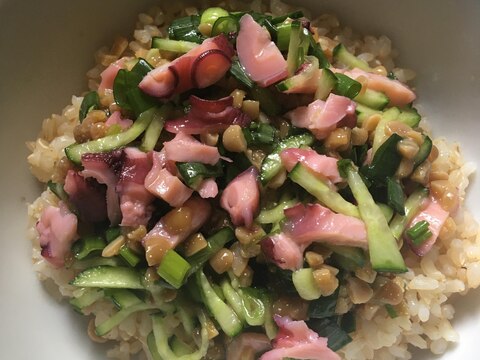 酢だこ、きゅうり、小ねぎの玄米ひきわり納豆丼